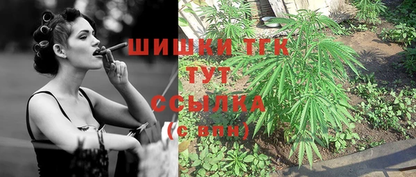 Альфа ПВП Пролетарск