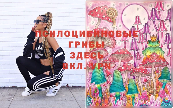 тгк Наволоки