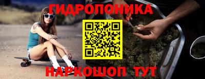 спайс Гусев