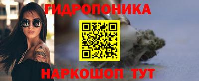 индика Гусиноозёрск