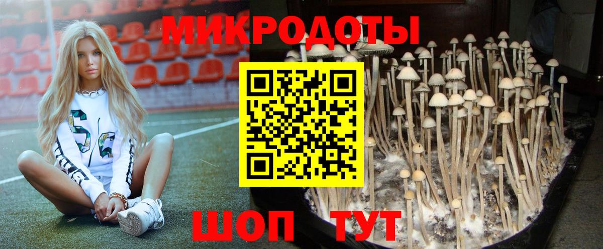 Каспийск  Псилоцибиновые грибы Cubensis  Вход с VPN 