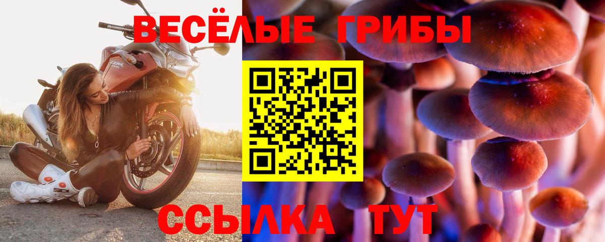 Псилоцибиновые грибы Psilocybine cubensis Каспийск