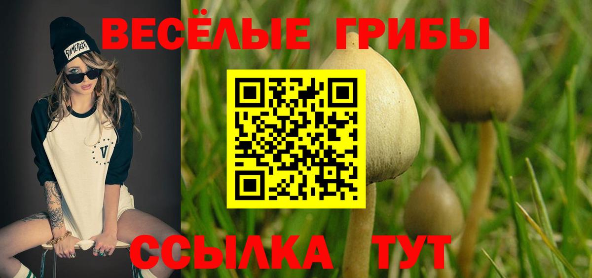 Галлюциногенные грибы Psilocybine cubensis  Каспийск 