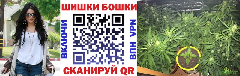 Бошки Шишки гибрид  Каспийск 