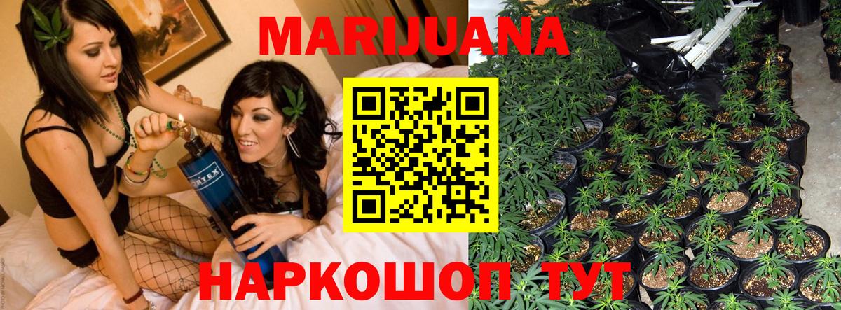 Каннабис конопля Каспийск